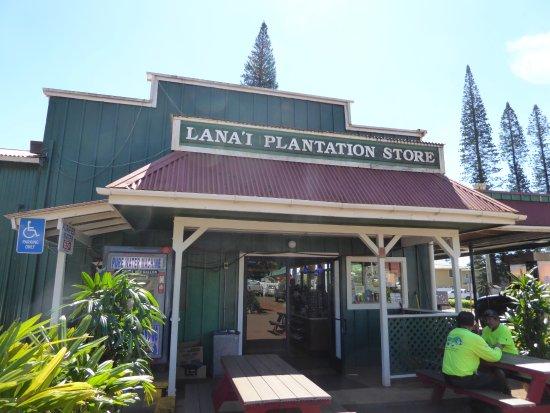 Lanai City Service