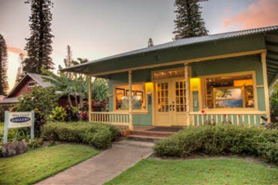 Mike Carroll Gallery